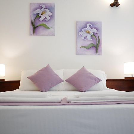 Готель Elegance Oasis, Colombo 3 Номер фото